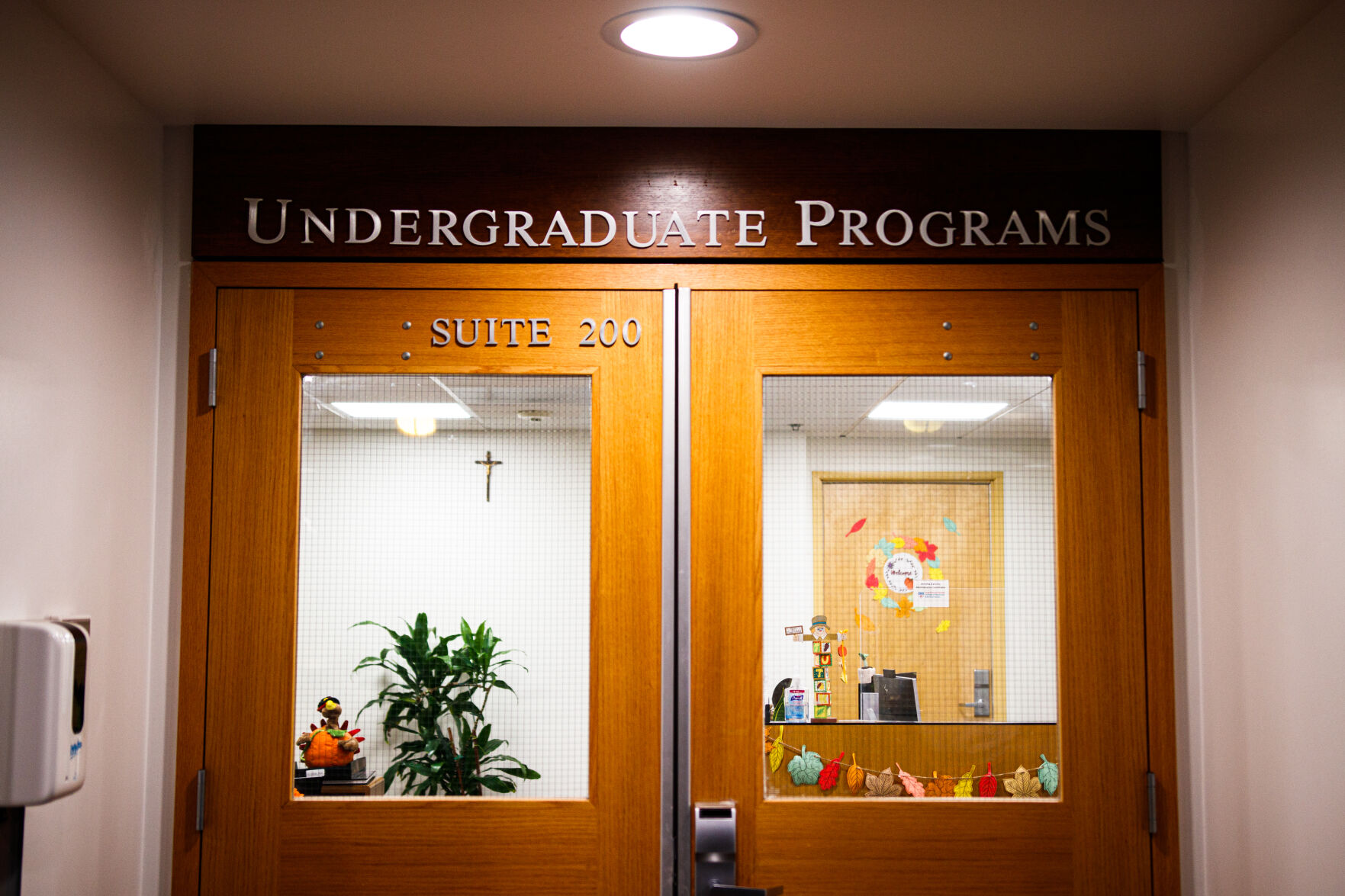 undergraduate programs